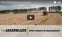 Video: Effect droogte op graszaadoogst